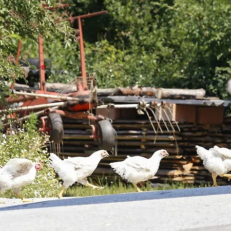 Hotel Hoehenwirt Keutschach am See